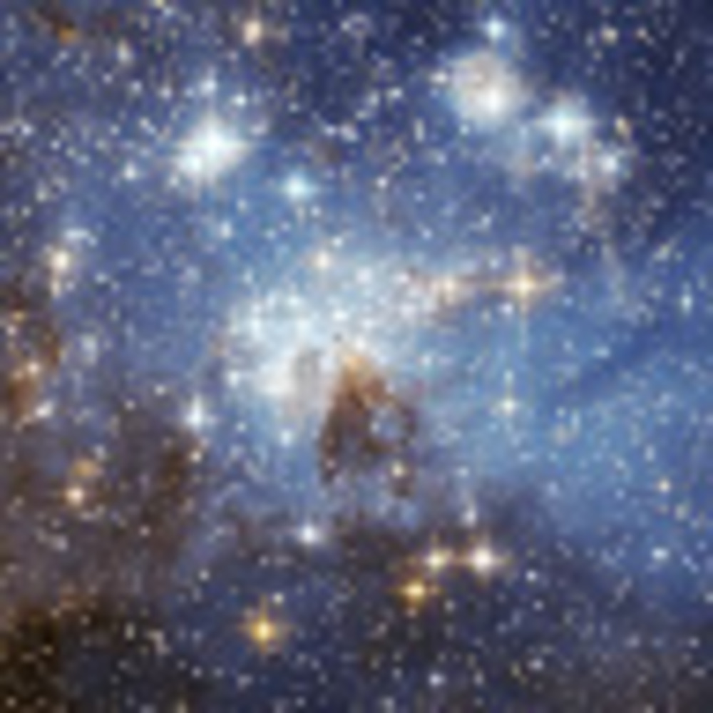 Meet your Posher, Jay